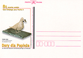 Postcard